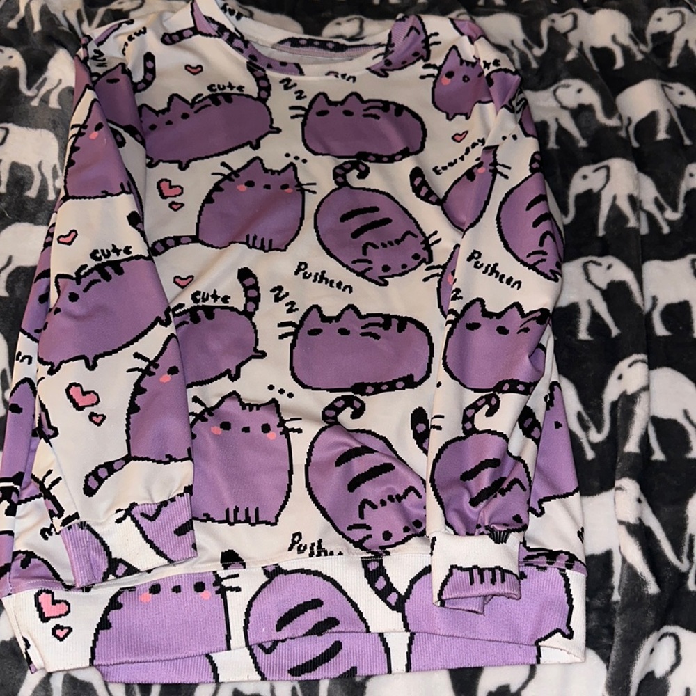 Pusheen sweater